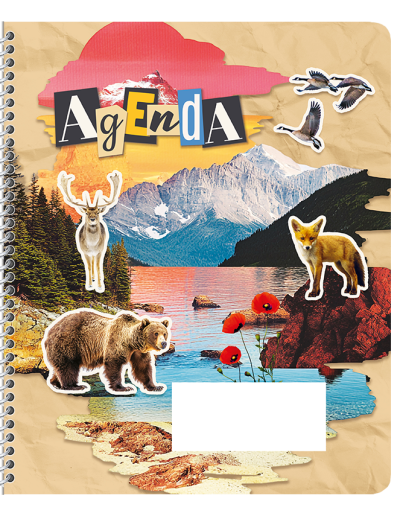 Couverture standard Collage